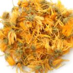 Calendula